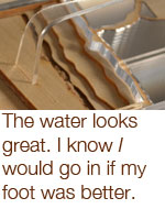 water looks great th